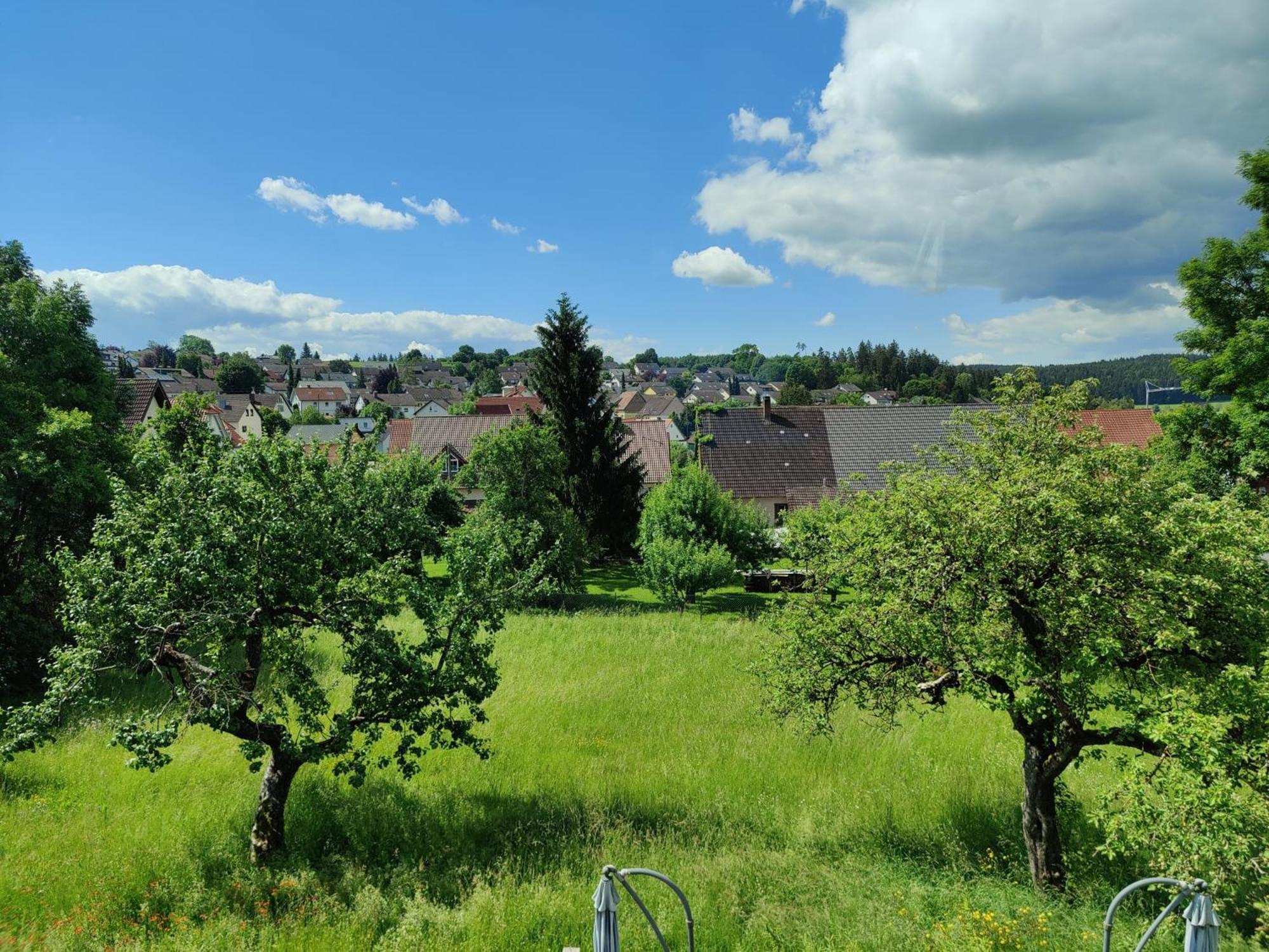 Ferien Im Schwarzwald - Brigachtal Apartment Heergasse Exterior photo